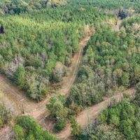 Hardwood Pine Hunting Land in Franklin County MS