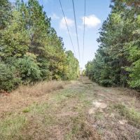 Hardwood Pine Hunting Land in Franklin County MS images 2