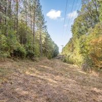 Hardwood Pine Hunting Land in Franklin County MS images 4