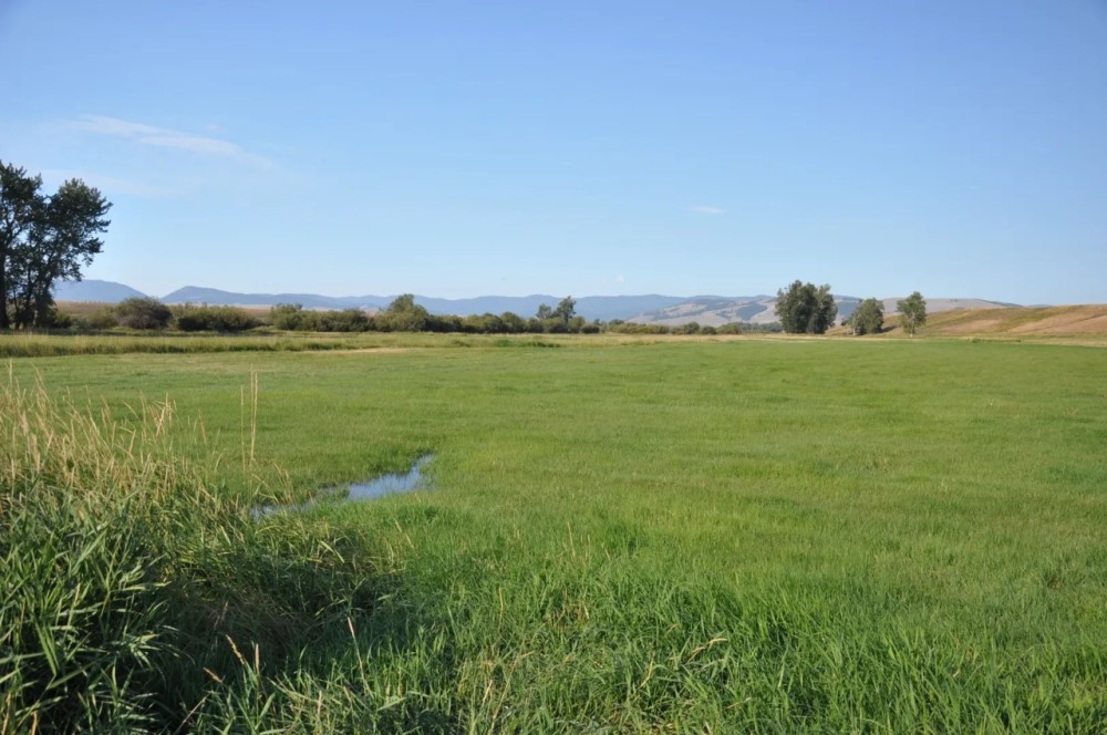 WILLOW VIEW RANCH featured image