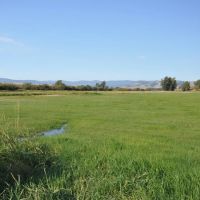 WILLOW VIEW RANCH
