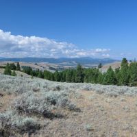 WILLOW VIEW RANCH images 3