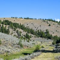 WILLOW VIEW RANCH images 5