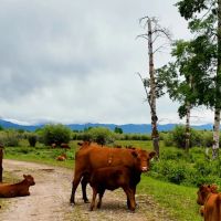 Grover Ranch images 5