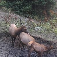Doc Utterback Ranch images 5