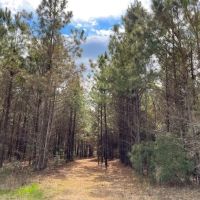 23 Acres T-2 FM 1746 images 5