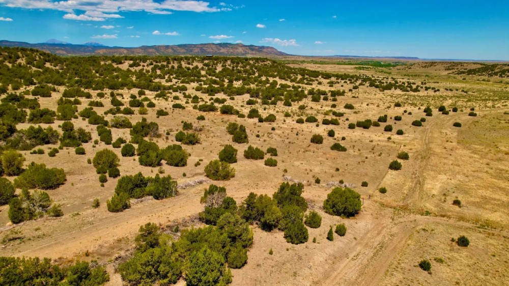 Kickin Kunzite Road Acreage featured image
