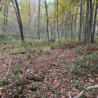 5 acre Building Lot and Hunting Land across from State Land in Gerry NY Herrick Rd