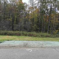 5 acre Building Lot and Hunting Land across from State Land in Gerry NY Herrick Rd images 5