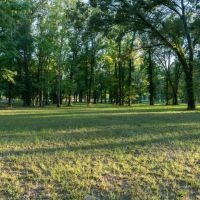 69-Acre Ranch for Sale near Overton TX images 3