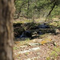 The Mountain at Homesteader s Spring images 4