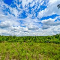 10 Acres T-14A Hickman Rd. images 2