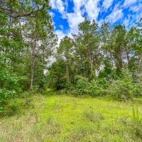 10 Acres T-14A Hickman Rd. images 4