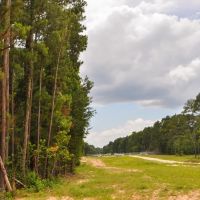 80 acres Tommy Smith Road images 3