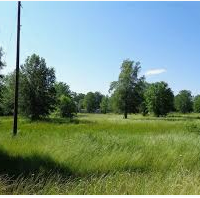 Corney Lake Unit 2,300 acres Waterfowl Hunting Land in Rapides Paris, LA images 2