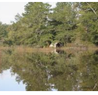 Corney Lake Unit 2,300 acres Waterfowl Hunting Land in Rapides Paris, LA images 3
