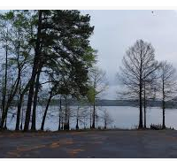 Corney Lake Unit 2,300 acres Waterfowl Hunting Land in Rapides Paris, LA images 4