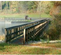 Corney Lake Unit 2,300 acres Waterfowl Hunting Land in Rapides Paris, LA images 6