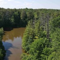 32 acres Hunting Land and Recreational Land with Ponds in Coxsackie NY Eagle Nest Rd images 3