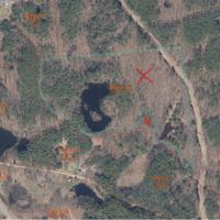 32 acres Hunting Land and Recreational Land with Ponds in Coxsackie NY Eagle Nest Rd images 5