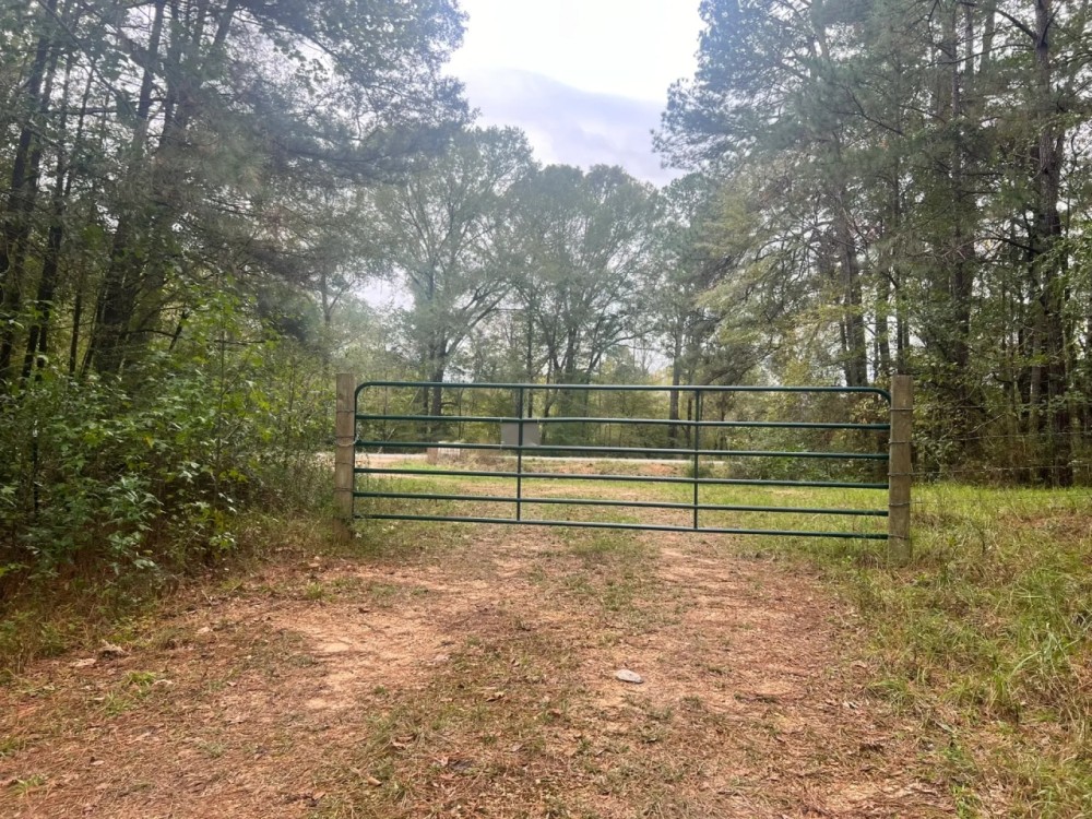 212 Acres in Amite County MS featured image
