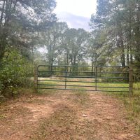 212 Acres in Amite County MS