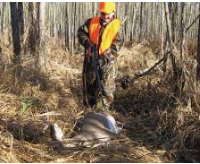 Red Dirt NWMP 38,450 acres Hog Hunting in Grant Parish, LA images 5