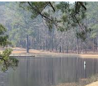 Red Dirt NWMP 38,450 acres Hog Hunting in Grant Parish, LA images 3
