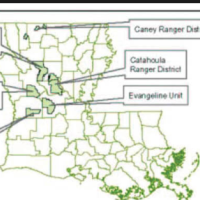Red Dirt NWMP 38,450 acres Hog Hunting in Grant Parish, LA