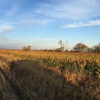 Spink County Rooster Rush