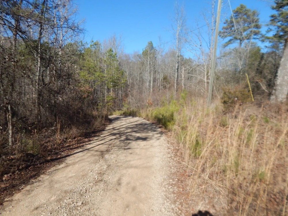 MLS 21853754 A BEAUTIFUL PLACE TO BUILD A HOME AND HUNT featured image
