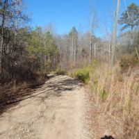 MLS 21853754 A BEAUTIFUL PLACE TO BUILD A HOME AND HUNT
