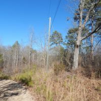 MLS 21853754 A BEAUTIFUL PLACE TO BUILD A HOME AND HUNT images 2