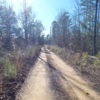 MLS 21853754 A BEAUTIFUL PLACE TO BUILD A HOME AND HUNT images 5