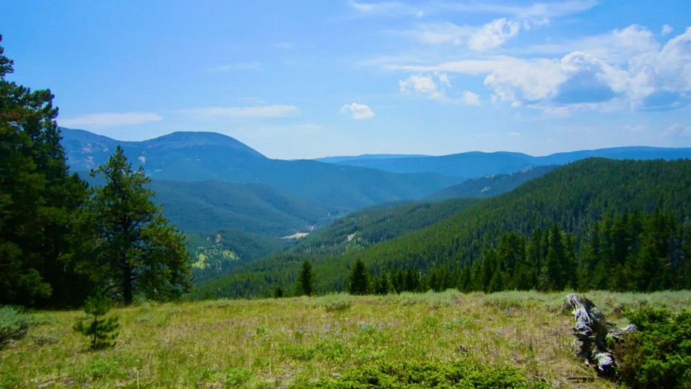 Prominent Pioneer Ridge Acreage featured image