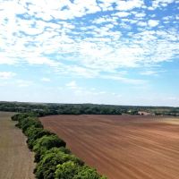 Farm For Sale 585 Acres Bray Stephens County Oklahoma. images 4
