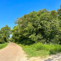 103 Acres County Road 328 images 3