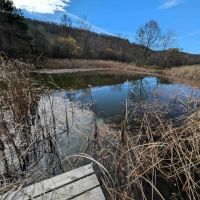 Secluded Cabin on 5 acres with a Pond in Cameron NY 4891 McMaster Rd images 2