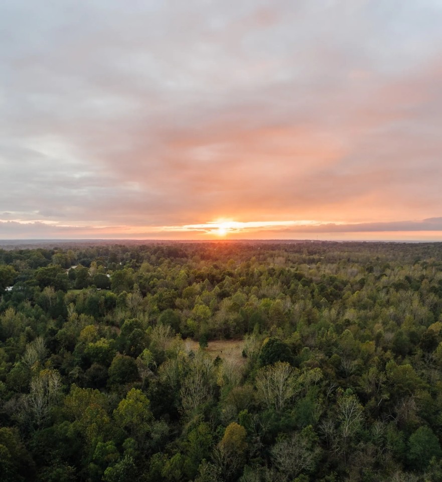 84.5 Acres in Yazoo County MS featured image