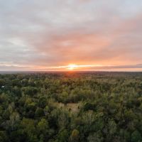 84.5 Acres in Yazoo County MS