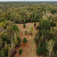 84.5 Acres in Yazoo County MS images 3