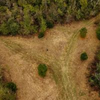84.5 Acres in Yazoo County MS images 4