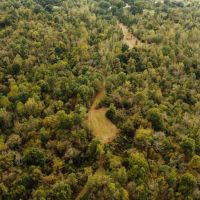 84.5 Acres in Yazoo County MS images 5