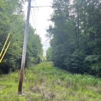 Boguefala Creek Tract images 2