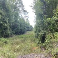 Boguefala Creek Tract images 3