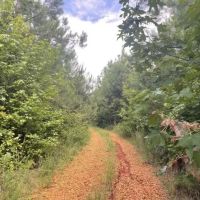 Boguefala Creek Tract images 5