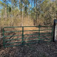 80 Acres in Tippah County MS images 2