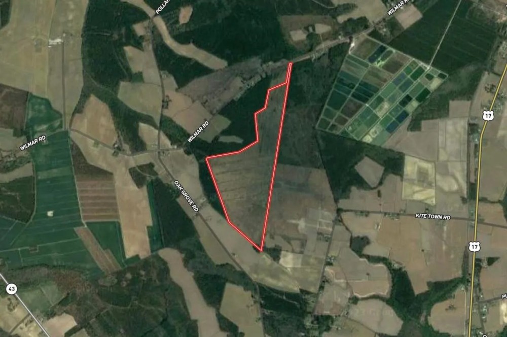 166 acres of Hunting and Timber Land For Sale in Craven County NC featured image