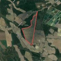 166 acres of Hunting and Timber Land For Sale in Craven County NC images 1