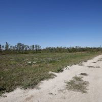 166 acres of Hunting and Timber Land For Sale in Craven County NC images 3